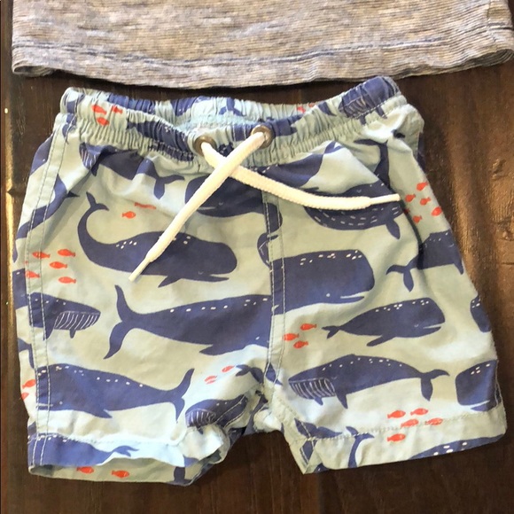 2 sets of summer outfits! Baby Shorts & tank tops! - Picture 3 of 8